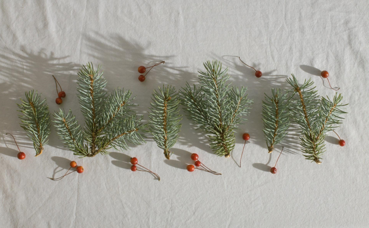 Transform Your Home with a Christmas Garland