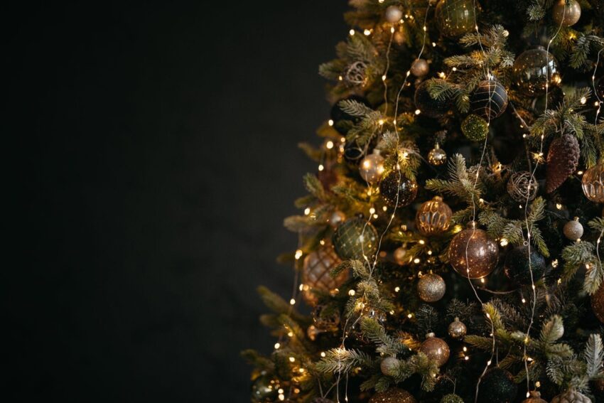 Affordable and Magical Christmas Tree Options